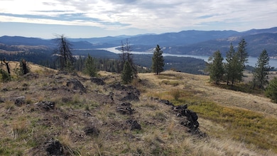 41XX Bissel Rd, Hunters, WA 99137 - photo 5