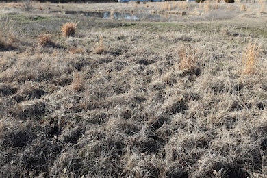 430211 Texanna Rd, Porum, OK 74455 - photo 5