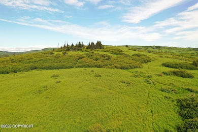 Alaskan Wildwood Ranch(r) P2 (6)