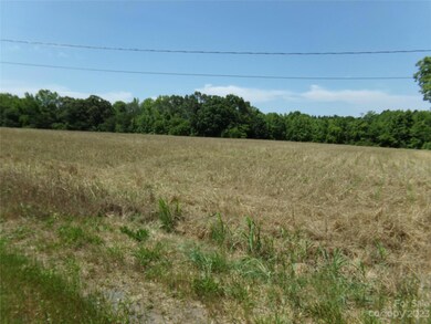 12500 Pine Bluff Rd, Midland, NC 28107 - photo 3