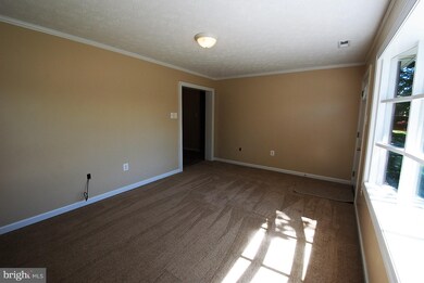 353 Mineral St, Strasburg, VA 22657 - photo 7