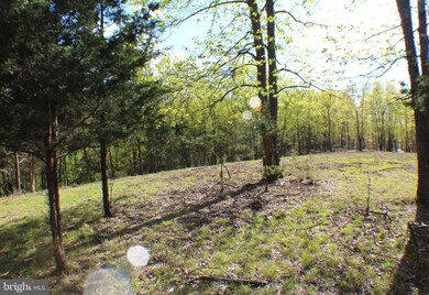 9.08 ac Pylor Way, Grant, WV 26833 - photo 3