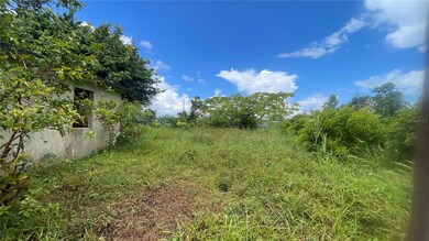 908 st Barrio Tejas, Yabucoa, PR 00767 - photo 6