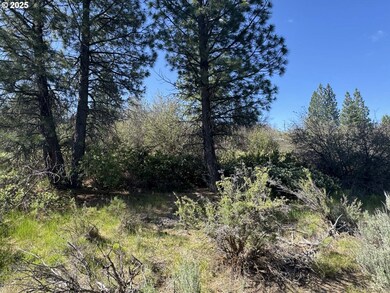 0 Lakeland Rd unit 17 178896656, Chiloquin, OR 97624 - photo 2