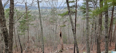 438 Stonegate Dr, Birmingham, AL 35242 - photo 6