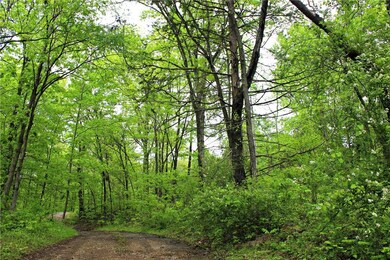 17696 Hutchens Rd, Winslow, AR 72959 - photo 5