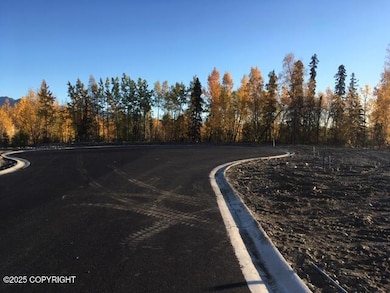 000 Delwood Place, Anchorage, AK 99504 - photo 3