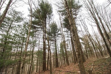 0 Township Highway 539, Loudonville, OH 44842 - photo 7