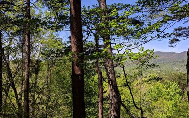 Additional View