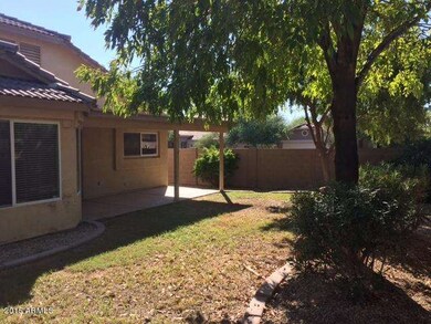backyard 2