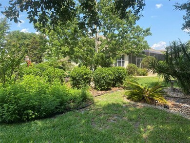 Backyard View #1