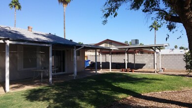Backyard view 2