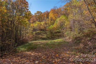 Tract 3 Sigogglin Trail, Jonathan Creek, NC 28785 - photo 4