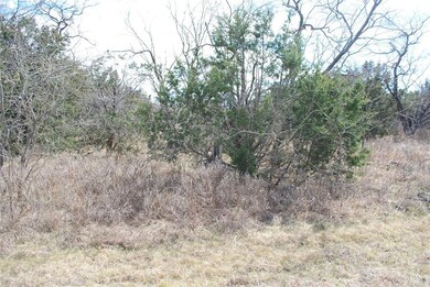 44073 Thistle Dr, Whitney, TX 76692 - photo 6