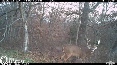 0 183rd Ave, Cincinnati, IA 52549 - photo 4