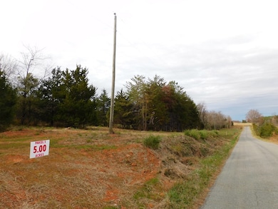 5 (P3) Brights Rd, Gretna, VA 24557 - photo 5