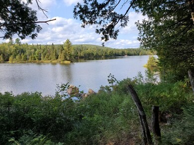 L 1B Gardner Point Rd, Mount Chase, ME 04765 - photo 3