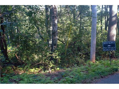 Land/Lot. Looking into the lot from Warren Road.