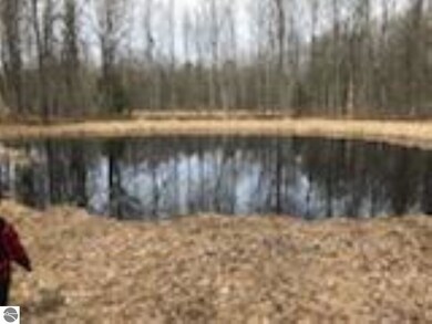 600 W Boehm Rd, West Branch, MI 48661 - photo 6