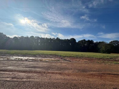 Lot 15 Hunters Hollow Dr, Mount Vernon, TX 75457 - photo 2