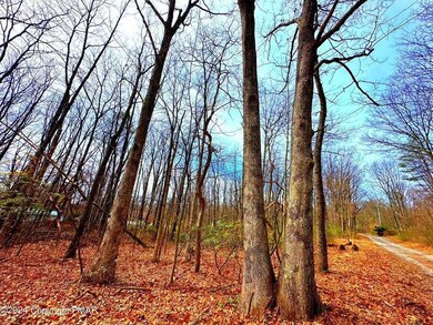 327 Maple Rd, Effort, PA 18330 - photo 2