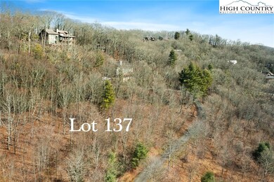 Lot 137 E Indrio Rd, Blowing Rock, NC 28605 - photo 7