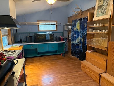 711 W 4th St, Yankton, SD 57078 - photo 7