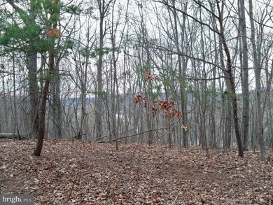 0 Hawks Nest Lot 9 unit WVMO117532, Hedgesville, WV 25427 - photo 4