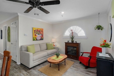 530 Spring Creek Rd unit 5-1, Branson, MO 65616 - photo 6