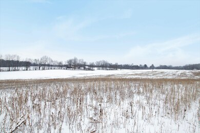 IMG_0539