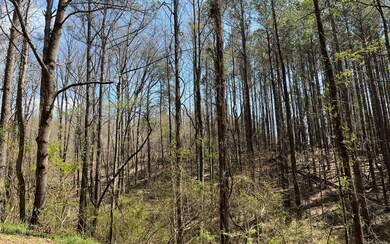 Additional View