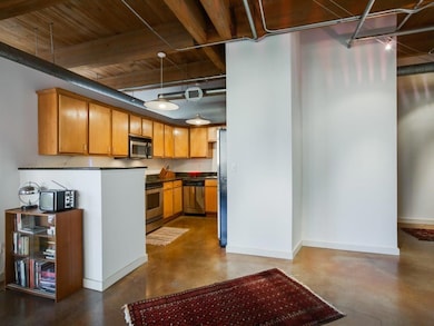 Kitchen open to living area. Note special lighting