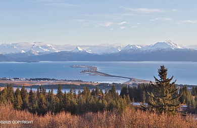 5012 Pine Terrace Cir, Homer, AK 99603 - photo 7