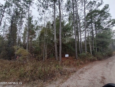 1757 Whippoorwill Ln, Glen St. Mary, FL 32040 - photo 2