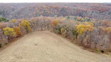 Tract 6 Polston Ln, Hickory Grove Township, MO 63357 - photo 2