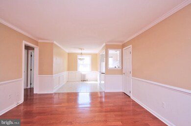 5118 Columbia Pike unit 3, Arlington, VA 22204 - photo 5