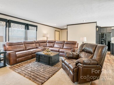 33 Fieldtop Ln, Arden, NC 28704 - photo 2