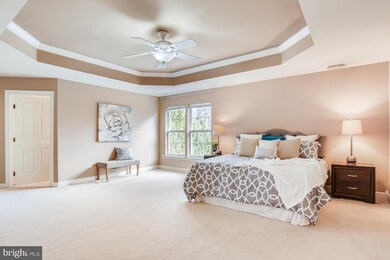 830 Queens Park Dr, Owings Mills, MD 21117 - photo 7