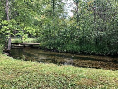 13138 N Buck Trail, Bitely, MI 49309 - photo 2