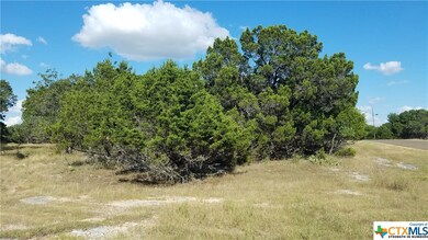 5561 Cliff Ln, Temple, TX 76502 - photo 7