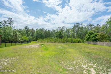 1007 Dowling Ct Leland NC-small-004-4-DS