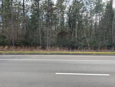 NHN Highway 43 N, Picayune, MS 39466 - photo 5