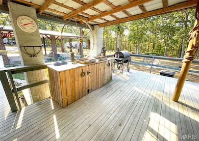 345 Johns Branch Rd, Wappapello, MO 63966 - photo 3