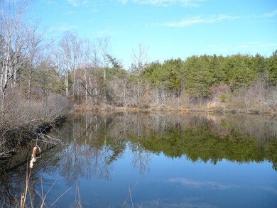 Pond 