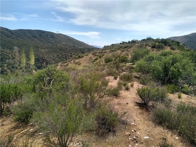 0 Sierra Hwy unit OC25269143, Agua Dulce, CA - photo 6