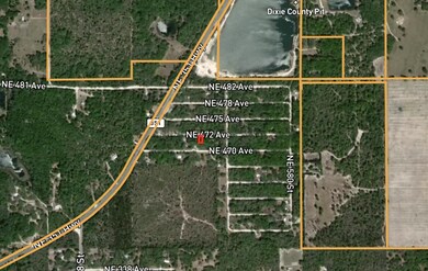0 NE 472nd Ave, Old Town, FL 32680 - photo 4