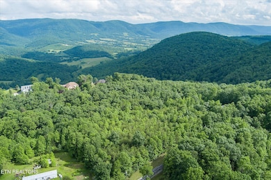 6-Lot 16 Browns Gap Rd_047_TNPC