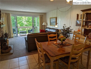 161 Skyleaf Dr unit E-7, Sugar Mountain, NC 28604 - photo 3