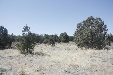 front of lot