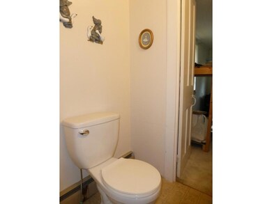 112 Franklin St, Owego, NY 13827 - photo 7